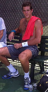 Picture of Juan Martin Del Potro - delpo-tw-2.jpg