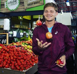 Picture of David Goffin - goffin-tw-16-2.jpg