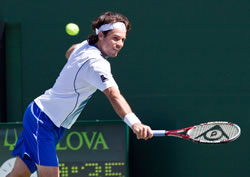 Picture of Tommy Haas - haas-miamis2.jpg