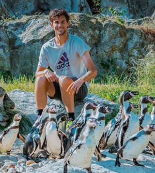 Picture of Dominic Thiem - thiem214.jpg