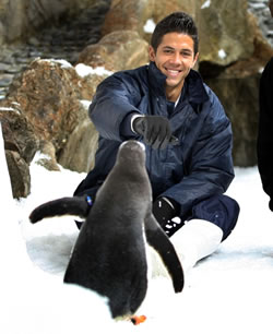 Picture of Fernando Verdasco - verdasco-oz91.jpg